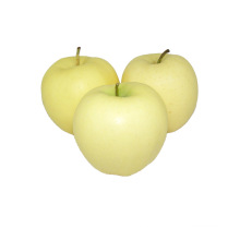 China golden delicious fresh apple importer
